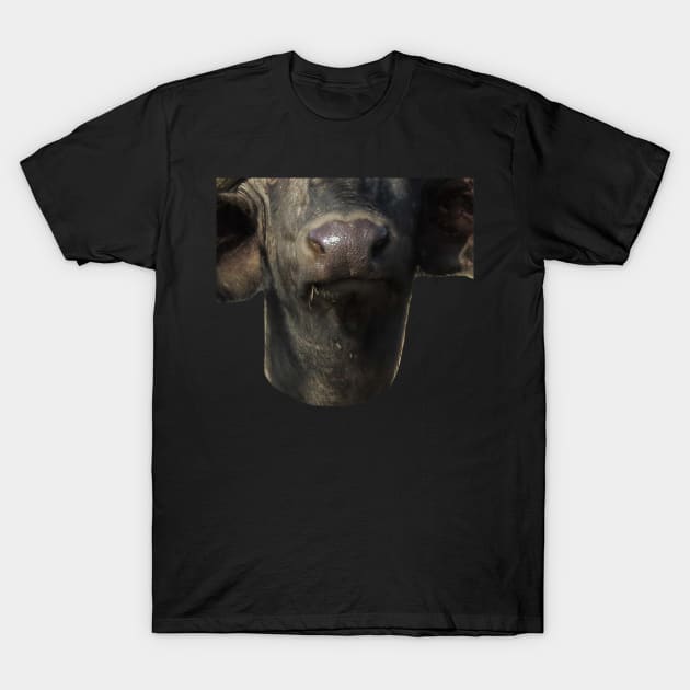 Water Buffalo Mouth T-Shirt by ellenhenryart